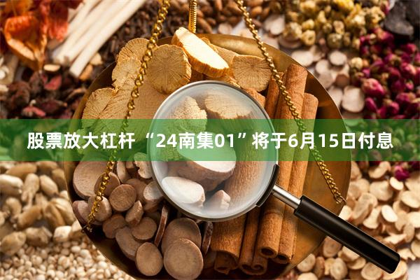 股票放大杠杆 “24南集01”将于6月15日付息