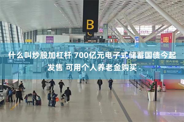 什么叫炒股加杠杆 700亿元电子式储蓄国债今起发售 可用个人养老金购买