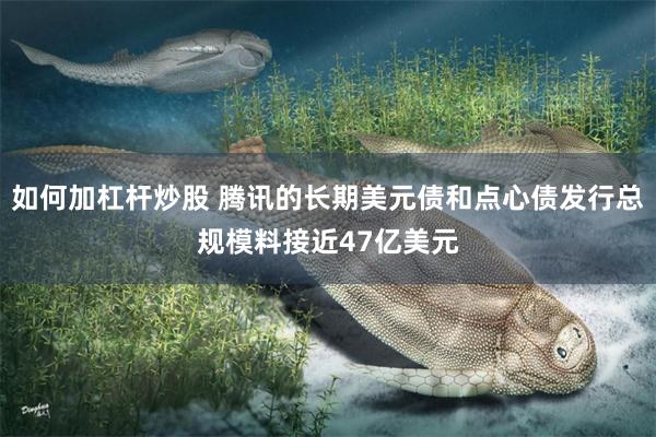 如何加杠杆炒股 腾讯的长期美元债和点心债发行总规模料接近47亿美元