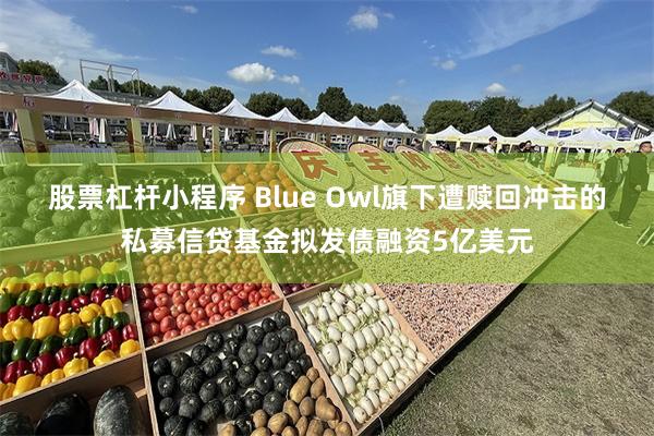 股票杠杆小程序 Blue Owl旗下遭赎回冲击的私募信贷基金拟发债融资5亿美元