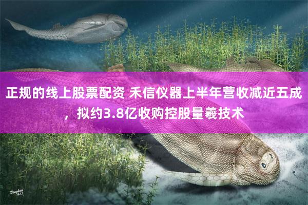 正规的线上股票配资 禾信仪器上半年营收减近五成，拟约3.8亿收购控股量羲技术
