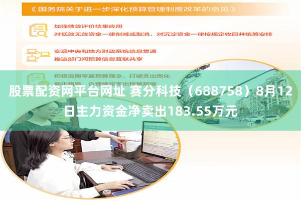 股票配资网平台网址 赛分科技（688758）8月12日主力资金净卖出183.55万元