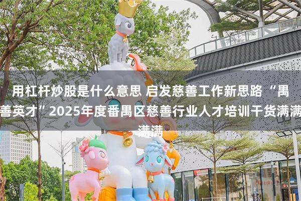 用杠杆炒股是什么意思 启发慈善工作新思路 “禺善英才”2025年度番禺区慈善行业人才培训干货满满