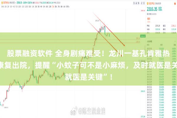 股票融资软件 全身剧痛难受！龙川一基孔肯雅热患者康复出院，提醒“小蚊子可不是小麻烦，及时就医是关键”！