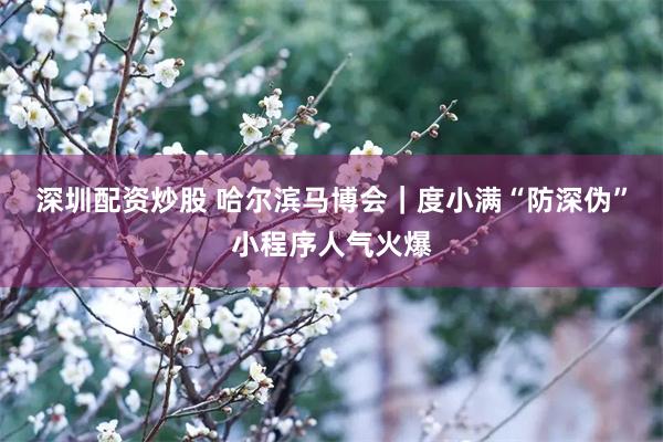 深圳配资炒股 哈尔滨马博会｜度小满“防深伪”小程序人气火爆
