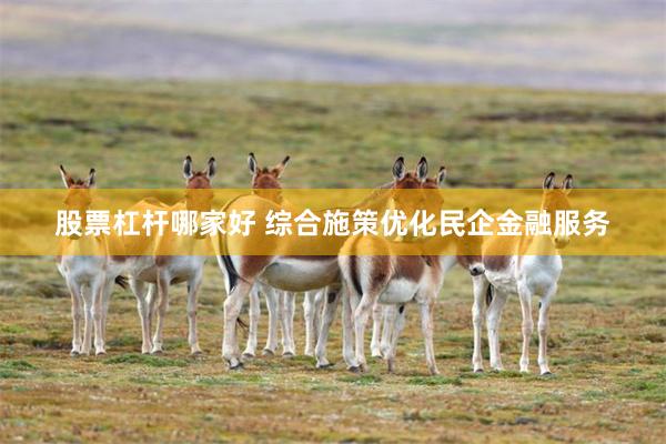 股票杠杆哪家好 综合施策优化民企金融服务
