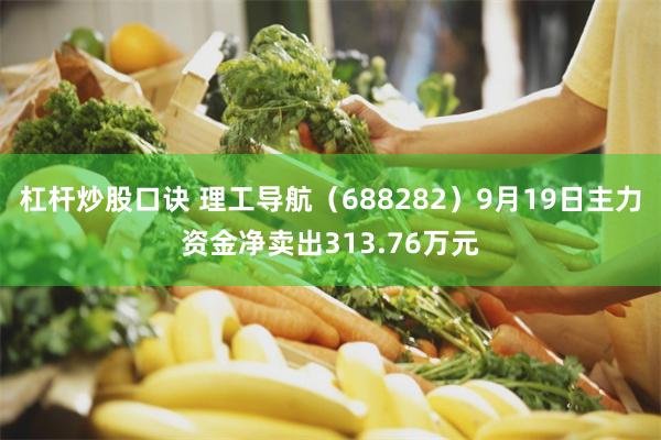 杠杆炒股口诀 理工导航（688282）9月19日主力资金净卖出313.76万元