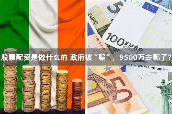 股票配资是做什么的 政府被“骗”，9500万去哪了？