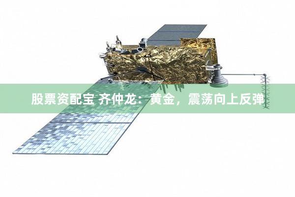 股票资配宝 齐仲龙：黄金，震荡向上反弹