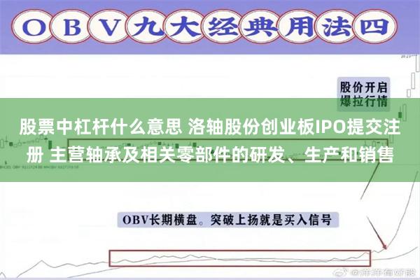 股票中杠杆什么意思 洛轴股份创业板IPO提交注册 主营轴承及相关零部件的研发、生产和销售
