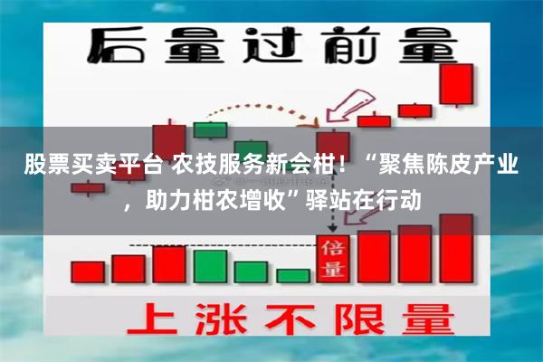 股票买卖平台 农技服务新会柑！“聚焦陈皮产业，助力柑农增收”驿站在行动