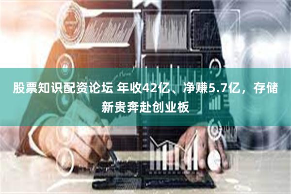 股票知识配资论坛 年收42亿、净赚5.7亿,存储新贵奔赴创业板
