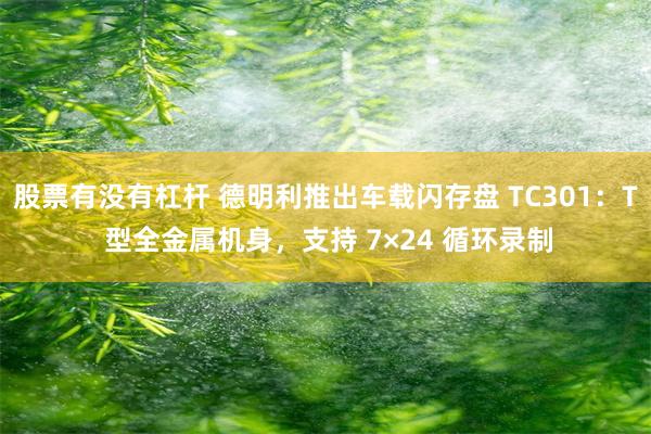 股票有没有杠杆 德明利推出车载闪存盘 TC301：T 型全金属机身，支持 7×24 循环录制