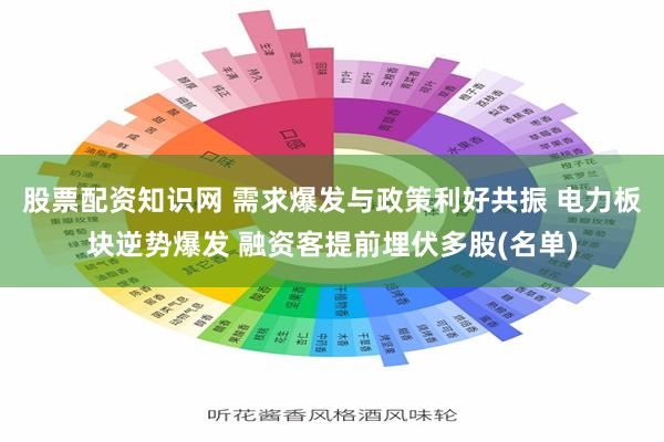 股票配资知识网 需求爆发与政策利好共振 电力板块逆势爆发 融资客提前埋伏多股(名单)
