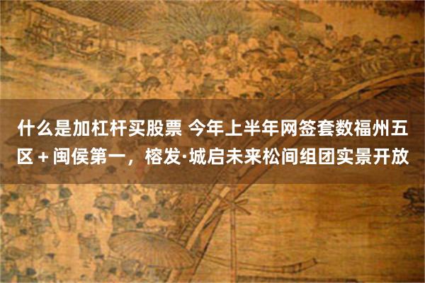什么是加杠杆买股票 今年上半年网签套数福州五区＋闽侯第一，榕发·城启未来松间组团实景开放
