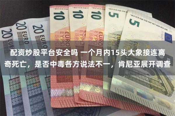 配资炒股平台安全吗 一个月内15头大象接连离奇死亡，是否中毒各方说法不一，肯尼亚展开调查