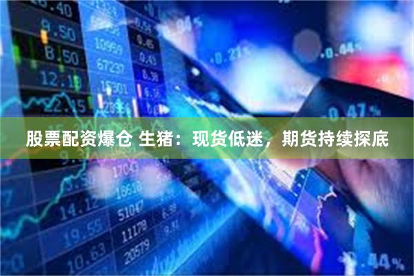 股票配资爆仓 生猪：现货低迷，期货持续探底