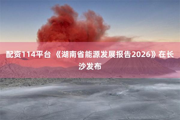 配资114平台 《湖南省能源发展报告2026》在长沙发布