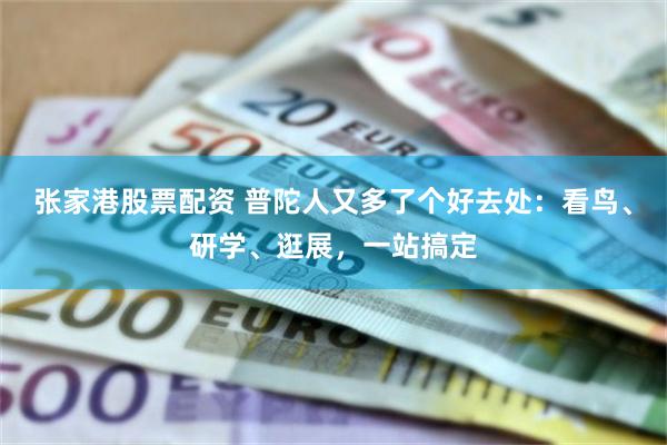 张家港股票配资 普陀人又多了个好去处：看鸟、研学、逛展，一站搞定