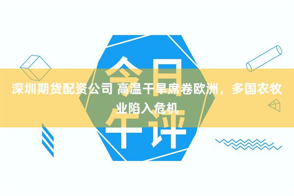 深圳期货配资公司 高温干旱席卷欧洲，多国农牧业陷入危机