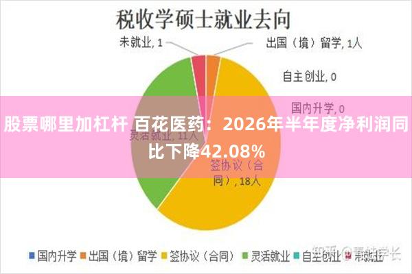 股票哪里加杠杆 百花医药：2026年半年度净利润同比下降42.08%