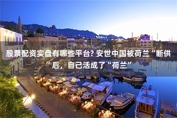 股票配资实盘有哪些平台? 安世中国被荷兰“断供”后，自己活成了“荷兰”