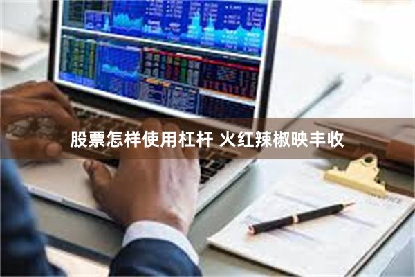 股票怎样使用杠杆 火红辣椒映丰收