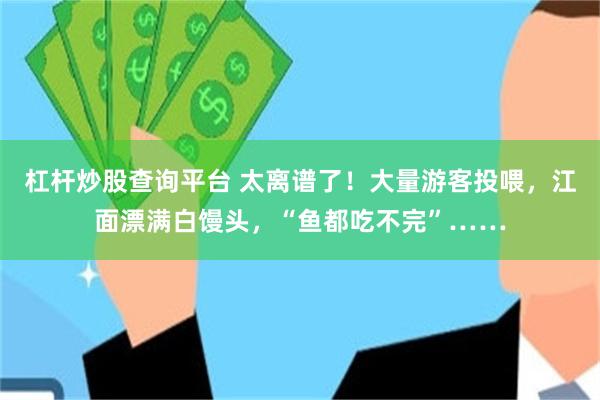 杠杆炒股查询平台 太离谱了！大量游客投喂，江面漂满白馒头，“鱼都吃不完”……
