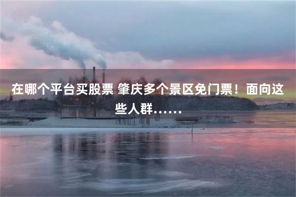 在哪个平台买股票 肇庆多个景区免门票！面向这些人群……
